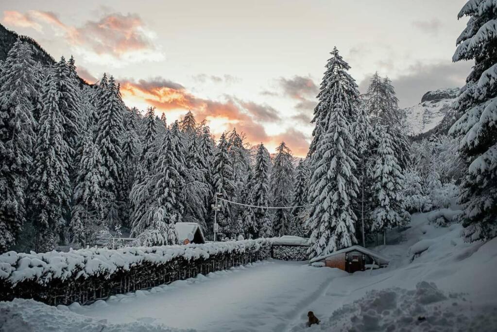 Idyllic Triglav Forest Retreat - Alps, Trails, Lakes, Falls Mojstrana Extérieur photo